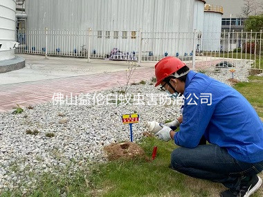順德工業(yè)廠區(qū)紅火蟻防治