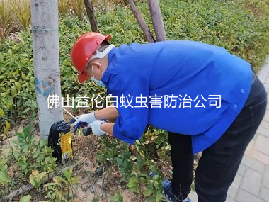 南海丹灶翰林湖生態(tài)公園消滅白蟻
