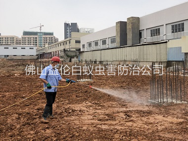 禪城基礎白蟻預防工程